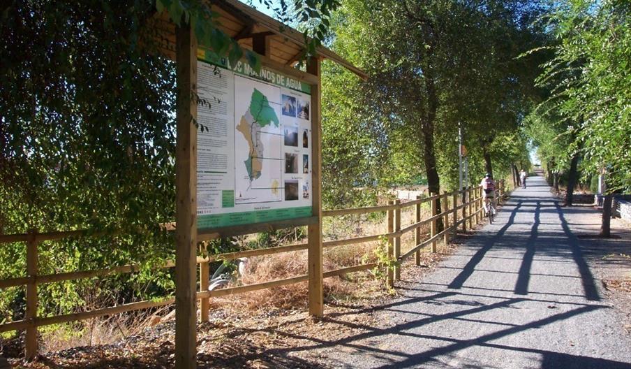 El Saltillo y Lomero Llano