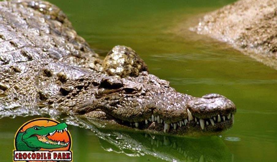 Crocodile Park
