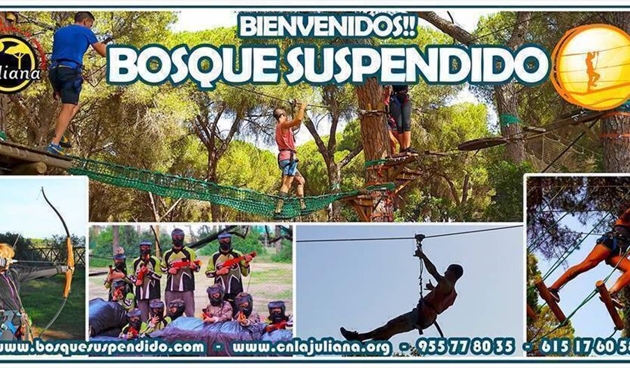 El Bosque Suspendido