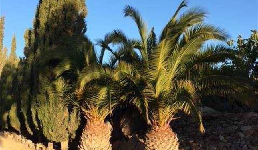 Oasis al Mar. Vera (Almería)