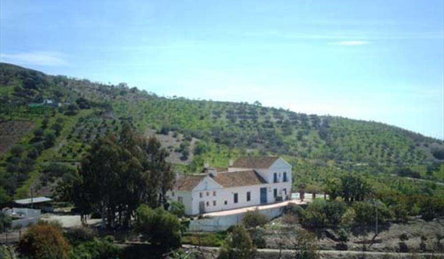 Pensión Cortijo Loyola