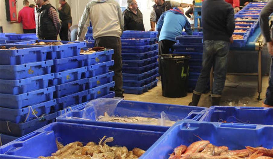 Lonja de Isla Cristina