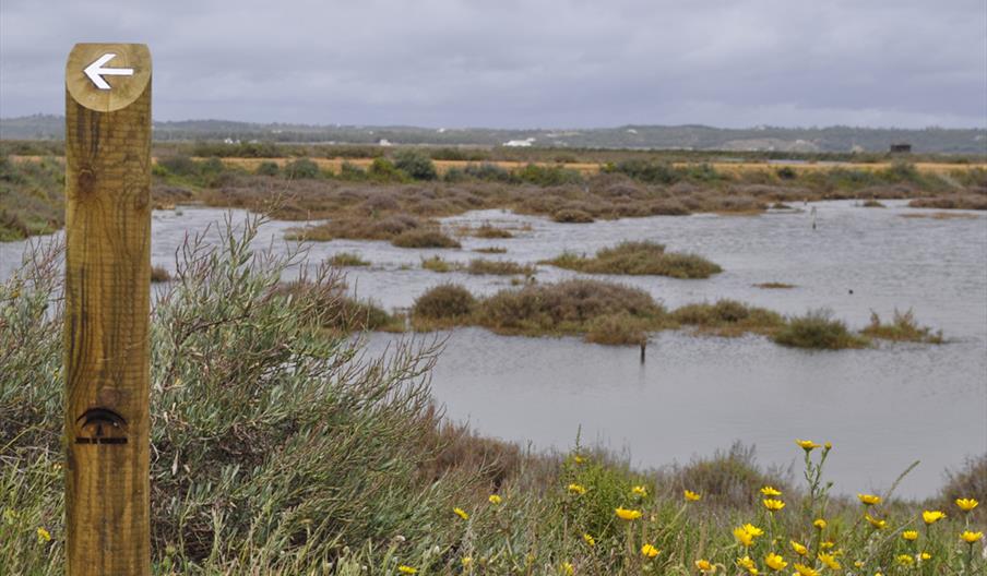 Marismas de Isla Cristina