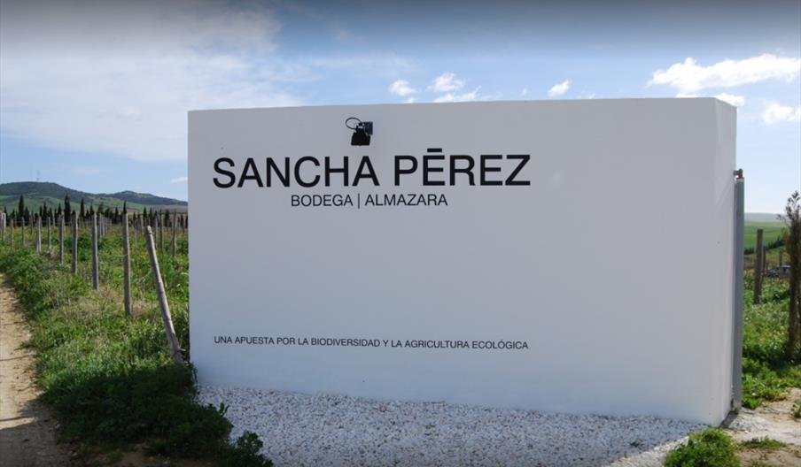 Bodega Sancha Pérez