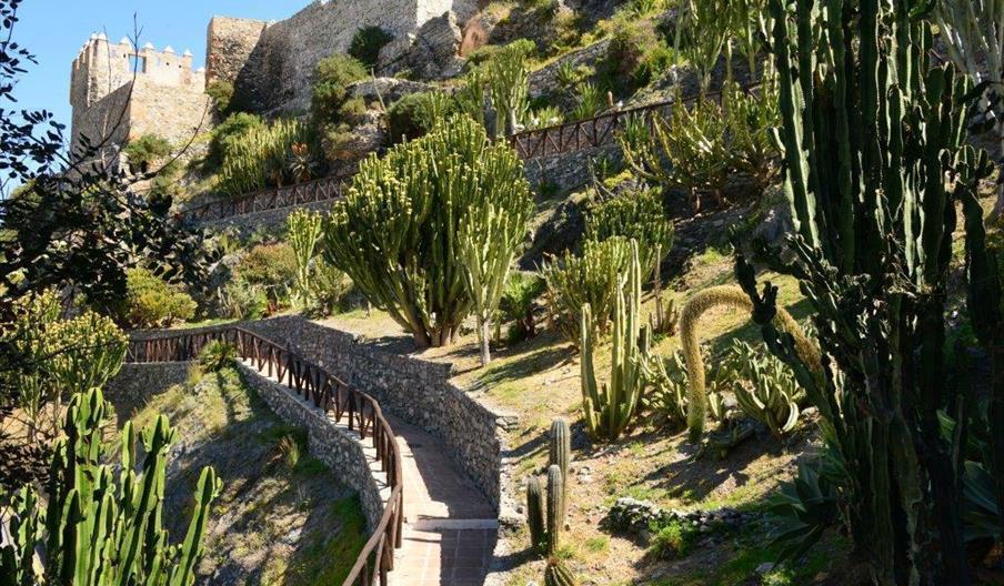 Parque Ornitológico Loro Sexi