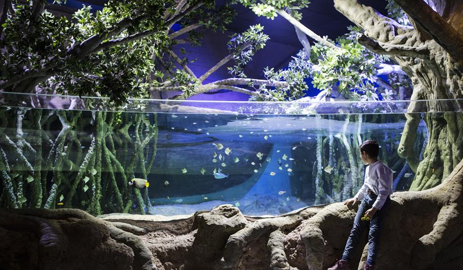 Acuario de Sevilla