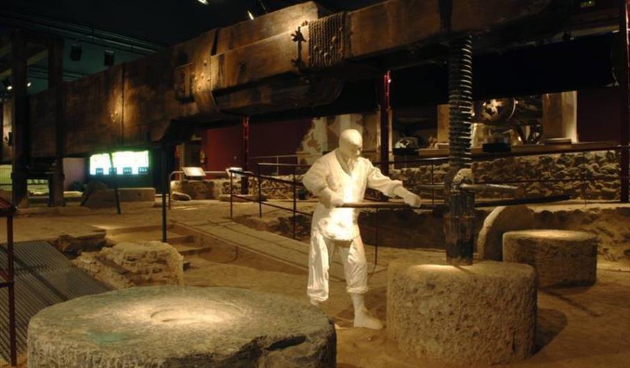 Museo Preindustrial de la Caña de Azúcar - Ingenio de La Palma