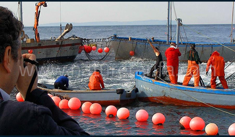 Náutica y Turismo del Estrecho - Nature Tarifa