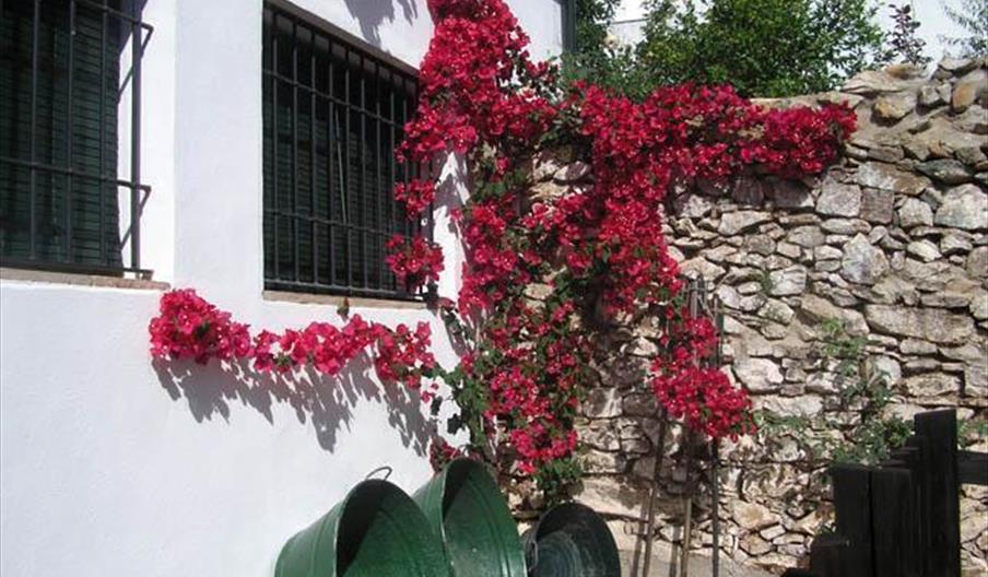 Casa Rural Casa Adriano