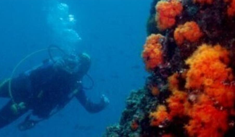 MDL Group Travel and Leisure