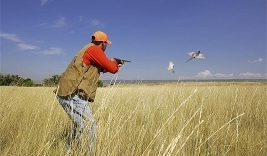 El Tinto y Santa Rosa