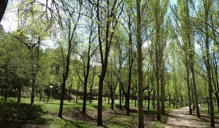 Camping Puente de Las Herrerías