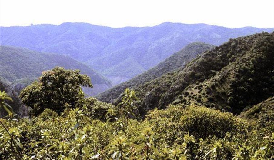 Sierra de Hornachuelos