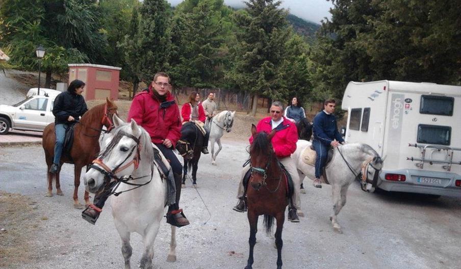 Athinasport Gestión