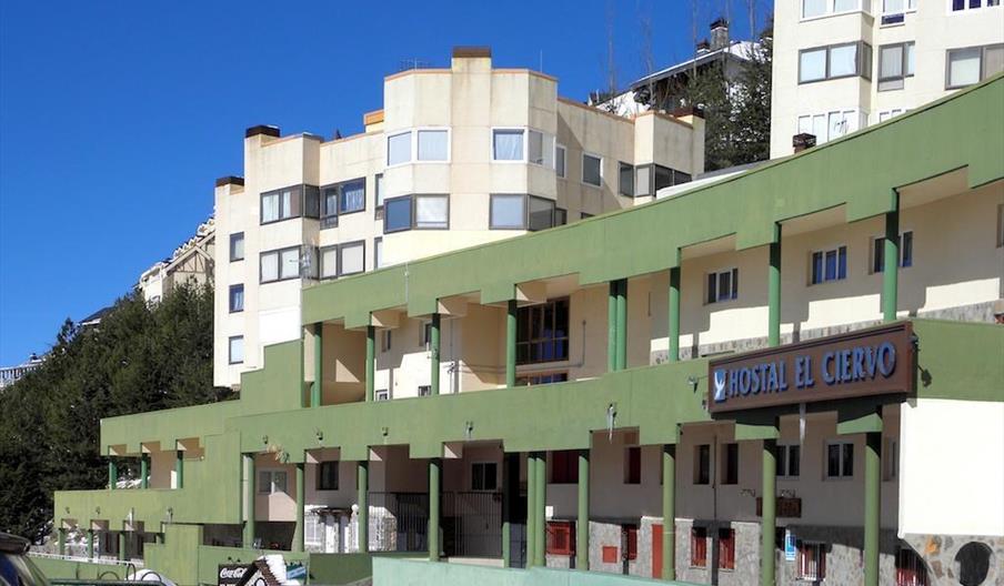 Hostal Vita El Ciervo