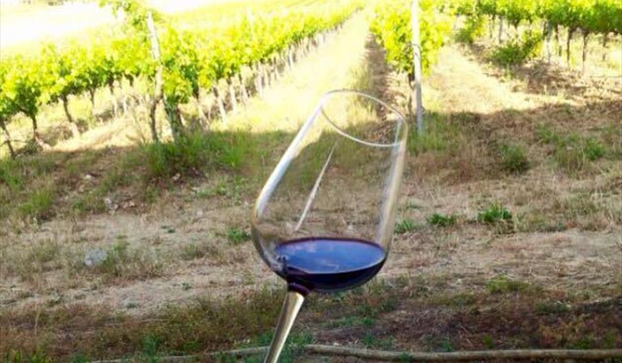 Bodega García Hidalgo