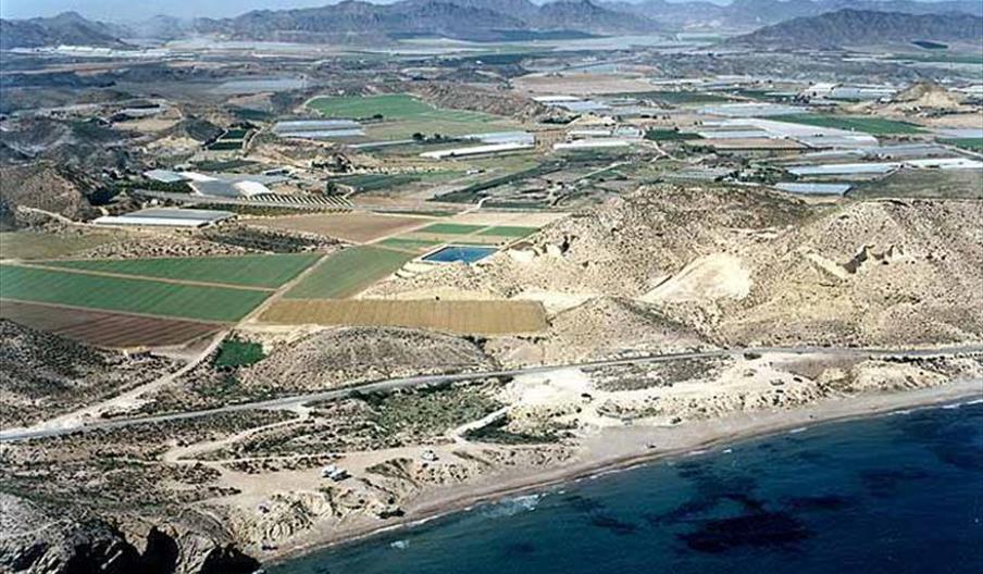 La Carolina / Las Palmeras