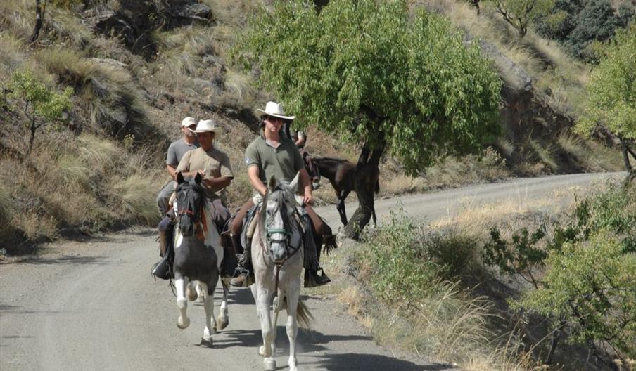 Centro Ecuestre El Serbal