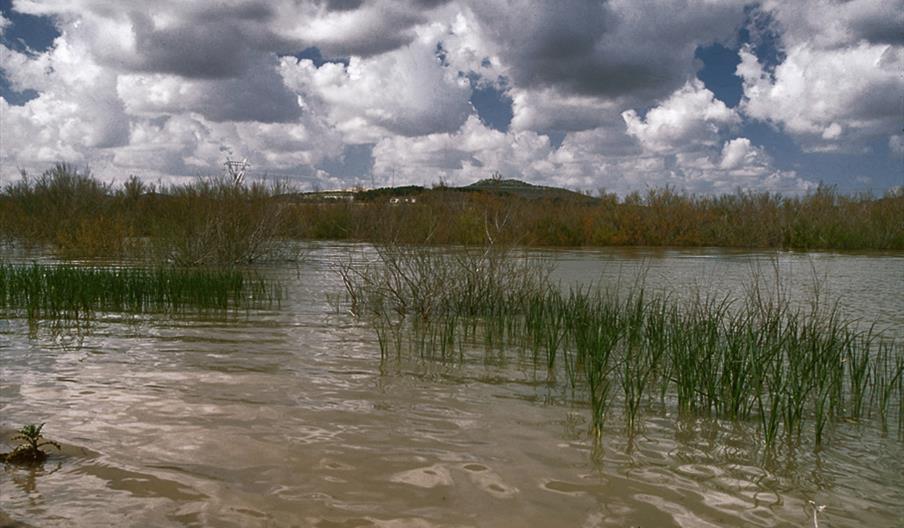 Complejo Endorreico de Lebrija-Las Cabezas