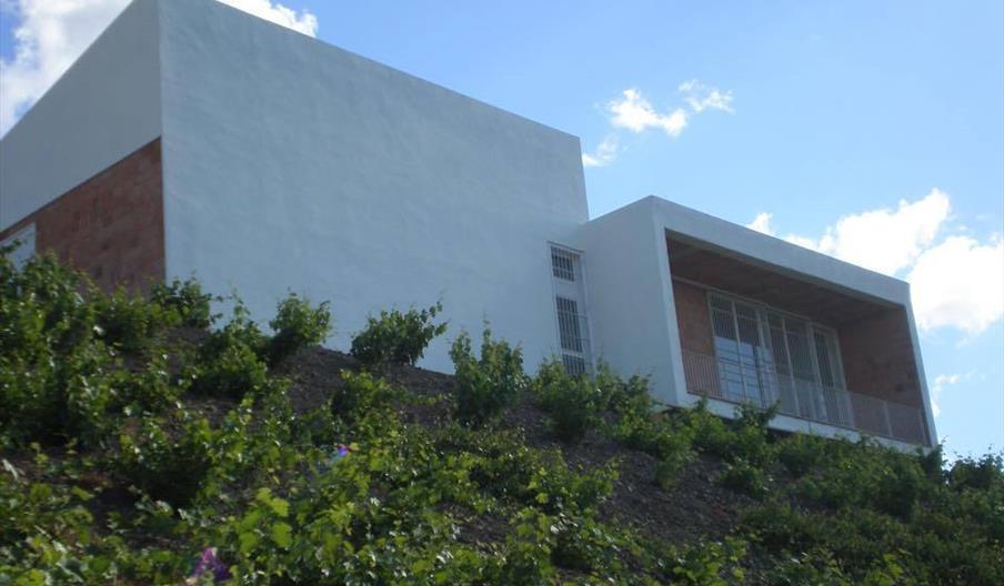 Bodega Sedella Vinos