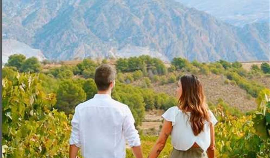 Enoturismo Bodega Señorío de Nevada