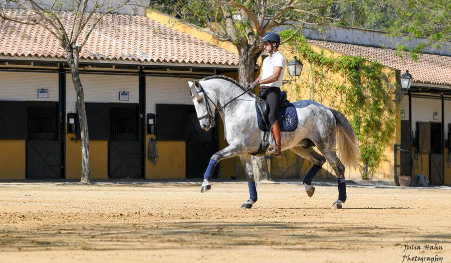 Yeguada Cartuja - Hierro del Bocado