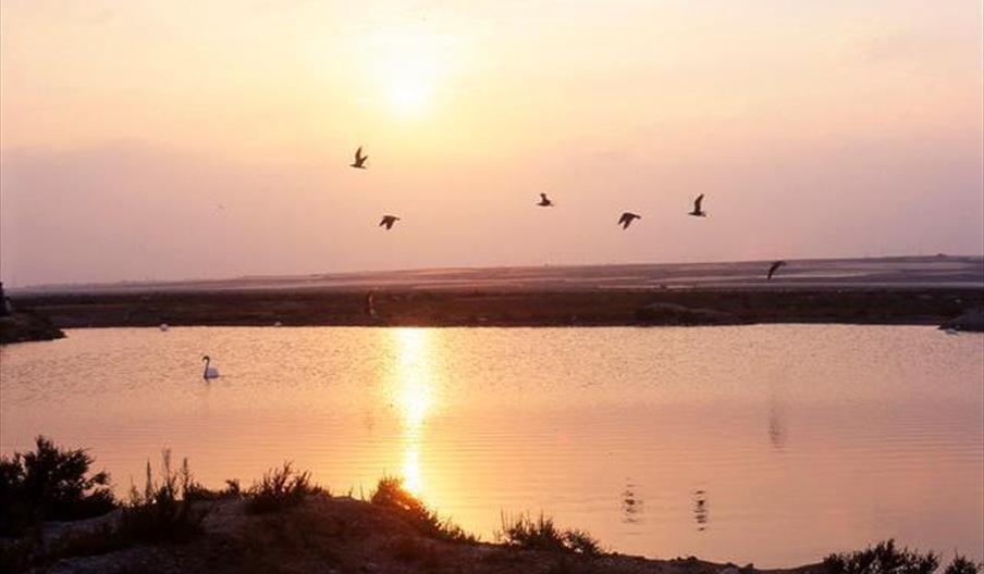 Punta Entinas-Sabinar