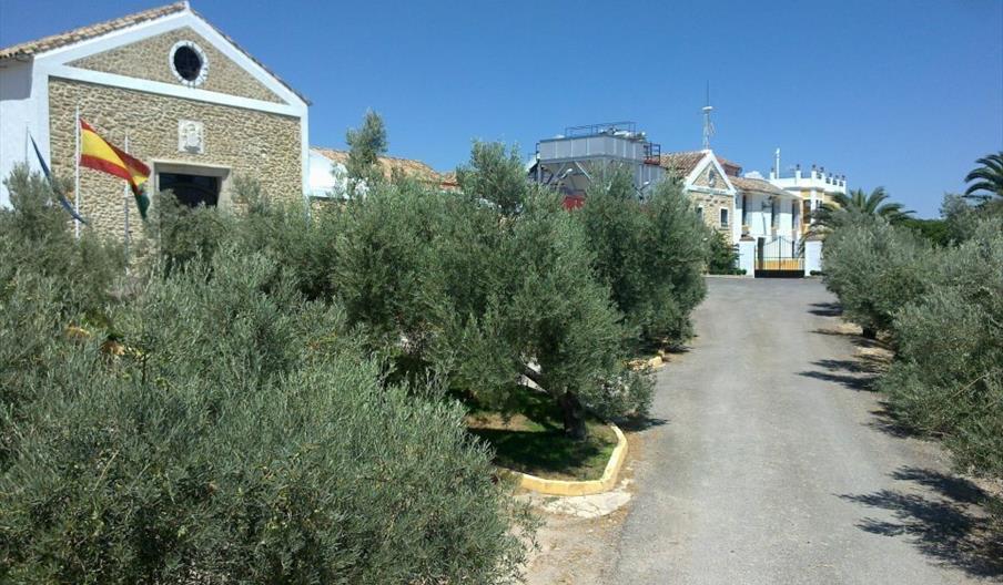 Molino y Museo del Aceite Juan Colín