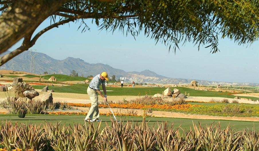 Desert Springs Golf Club