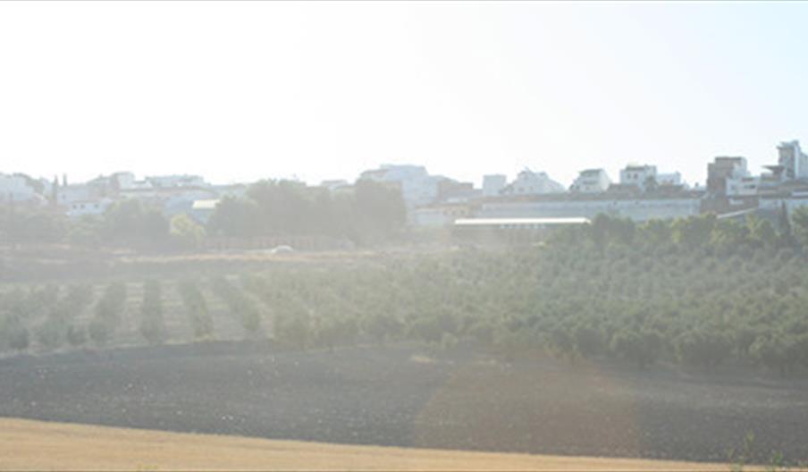 Montalbán de Córdoba