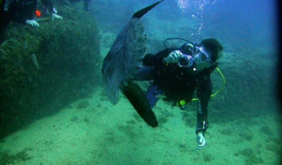 Centro de Buceo Bubbles Sea