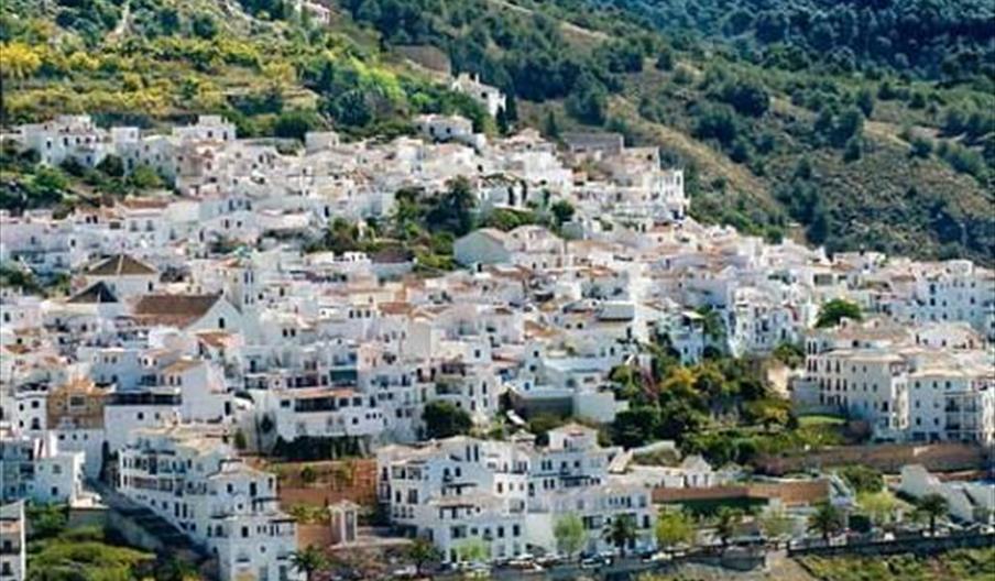 Apartamentos Pepe Rico