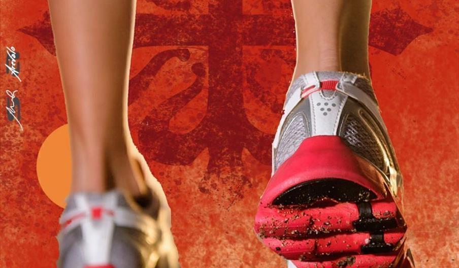 Nocturna Mellariense