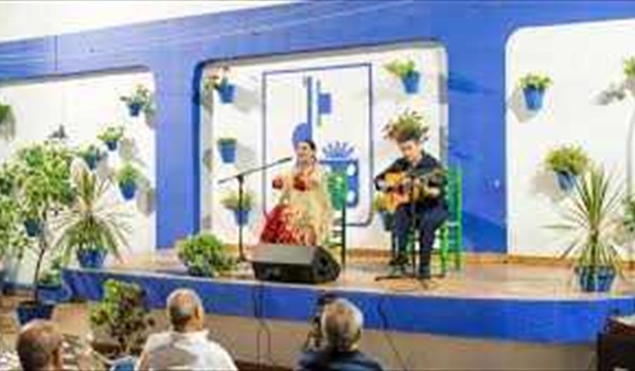 Peña Flamenca Baenence