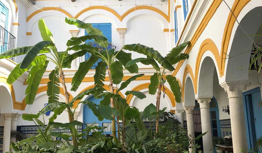 ALOJAMIENTO TURISTICO _ LA CASA EN EL CENTRO _ ECIJA