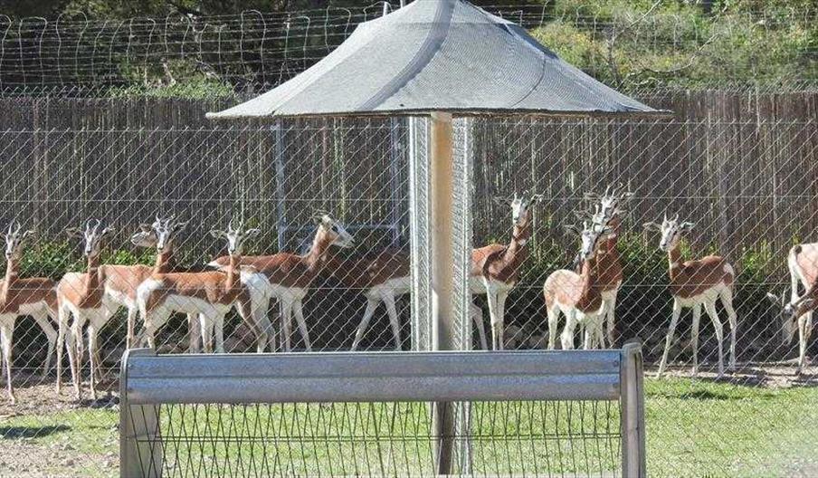 Finca Experimental La Hoya
