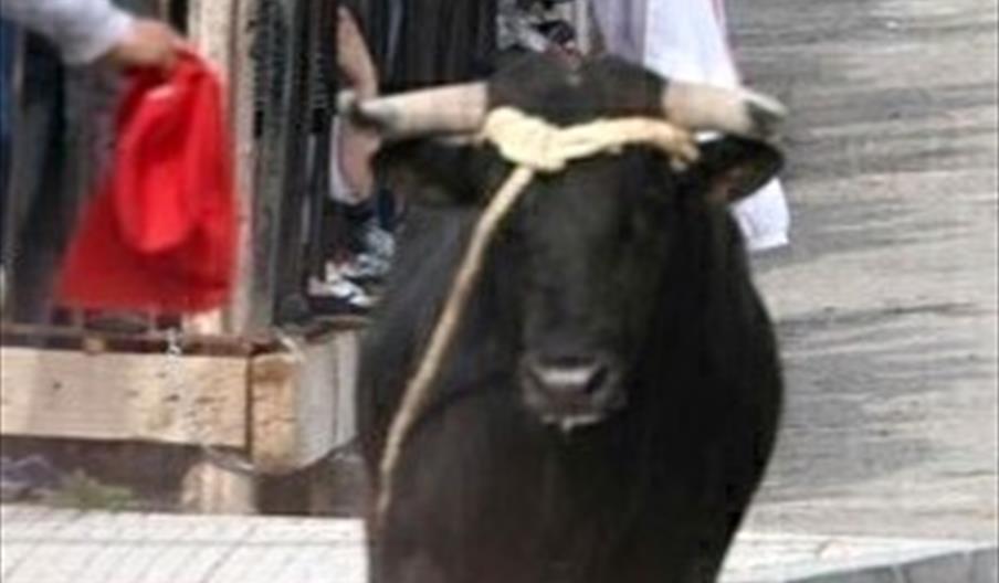 El Toro de Cuerda