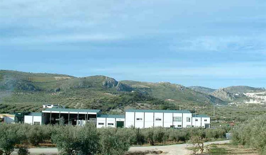 Olivarera Santa Rita