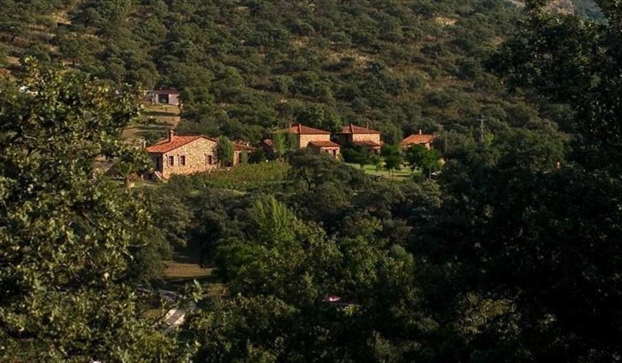 Casa Rural Molino Río Alájar - La Zoya