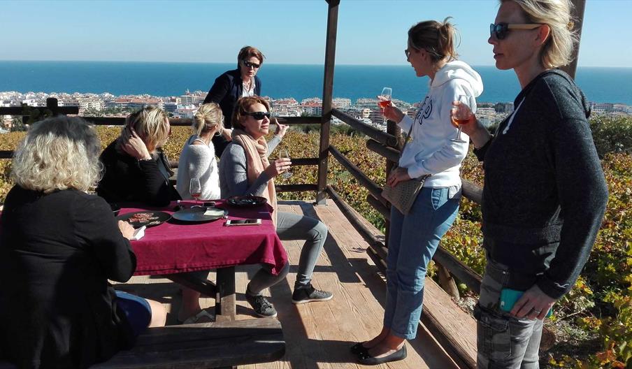 Visita bodega con degustación en viñedo y tapas mirando al Mar de Alborán