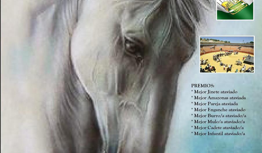 Paseo a caballo “Ciudad de Montoro”