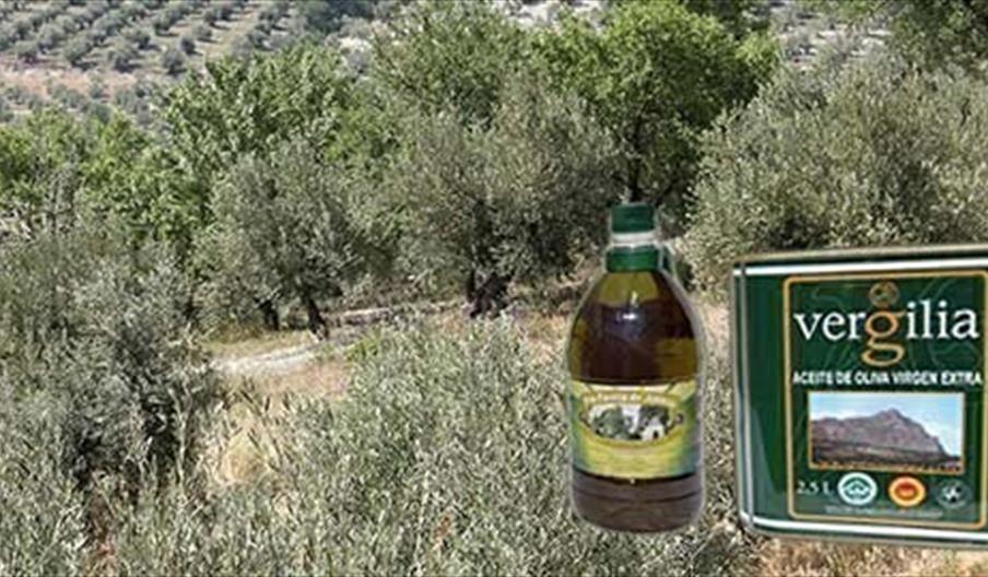 Coop. Ntra. Sra. de la Cabeza