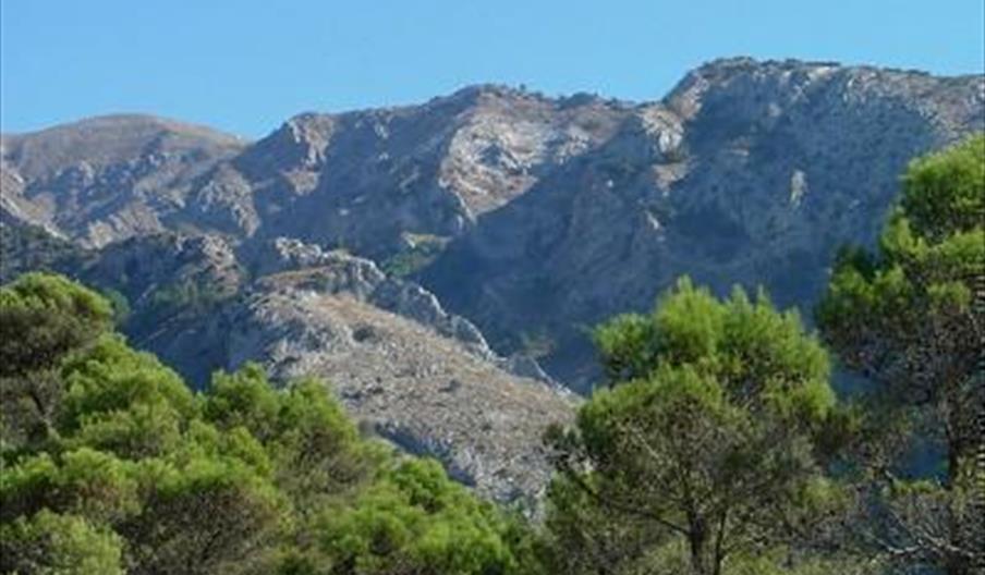 El Refugio del Alcázar