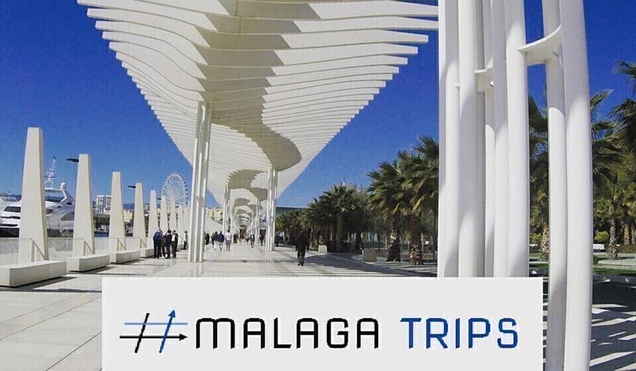 Malaga Trips