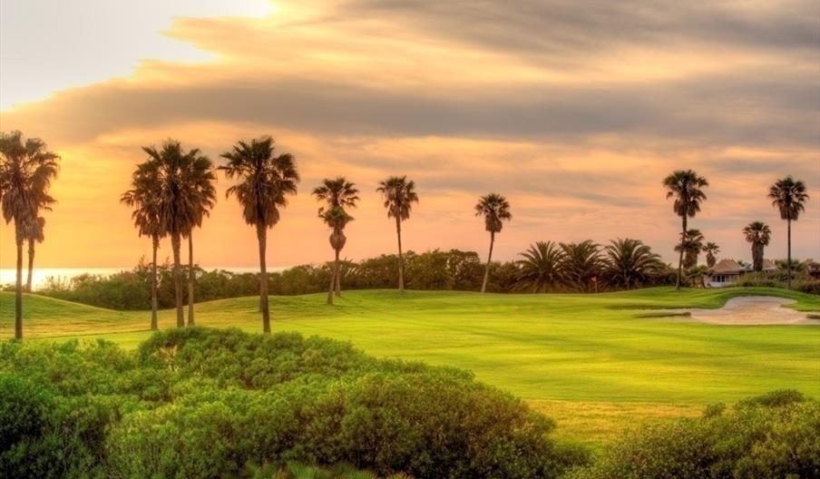 Costa Ballena Ocean Golf Club - Palmeras + Ficus