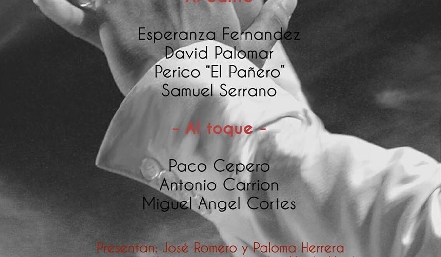 Festival de Cante Flamenco de Campillos