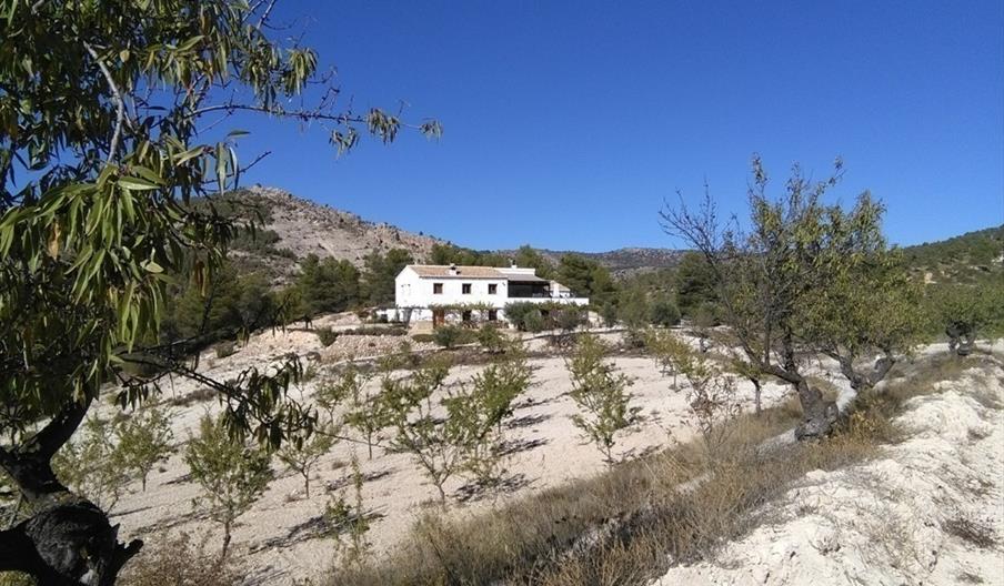Casa Rural Cortijo El Coto
