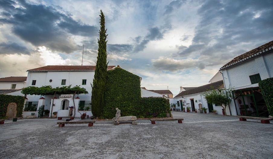 Casa Museo FGL Patio Central