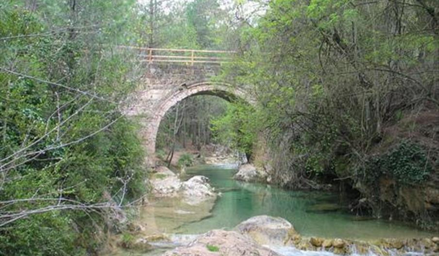 Centro de Capitación y Experimentación Forestal