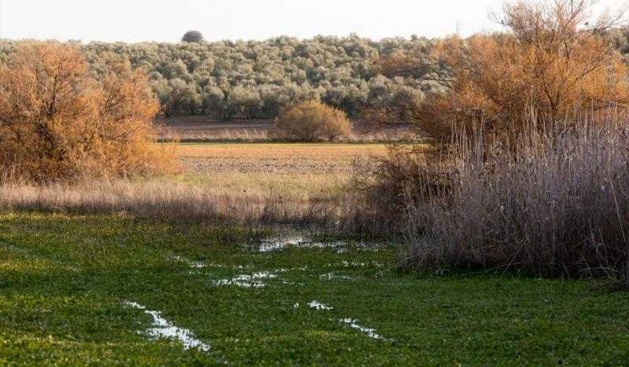 Laguna de la Escalera Turismo Provincial Sevilla